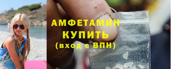 сатива Козельск