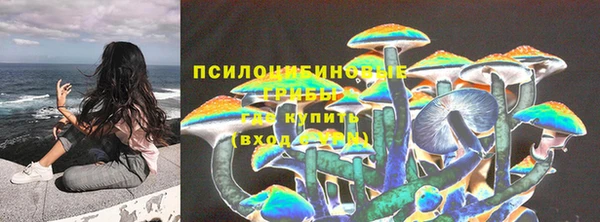 сатива Козельск