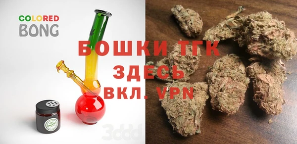 сатива Козельск