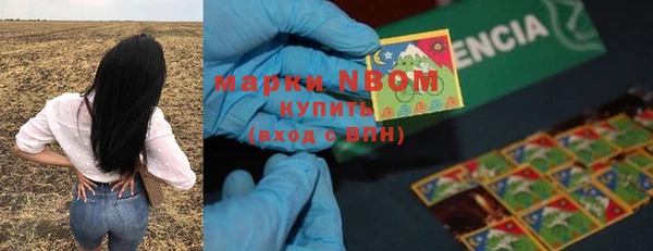 сатива Козельск